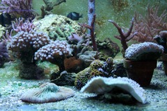 Killikus&reg; Fotographie